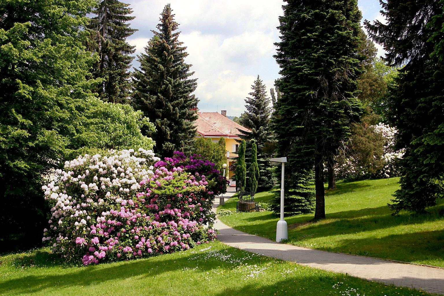 Spa Resort Libverda - Hotel Panorama Łaźnie Libverda Zewnętrze zdjęcie
